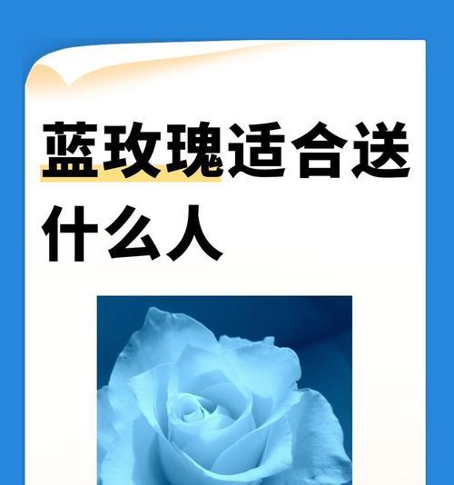 玫瑰花特殊寓意是什么？卖苹果祝福老板的花语又是什么？