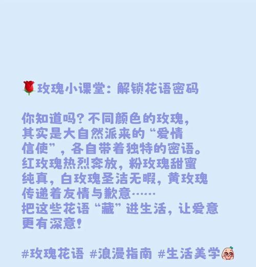 不听玫瑰花语有何深意？