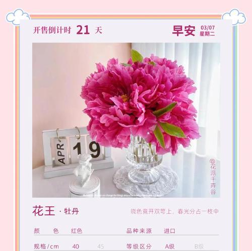 牡丹花语有哪些？清新牡丹寓意着什么？