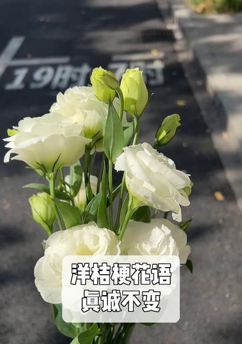 洋桔梗作为礼物的花语是什么？它代表了什么？