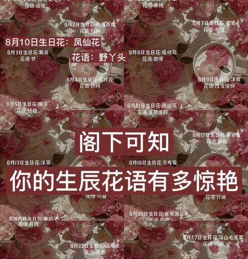 生日时抽钱的花语有何含义？