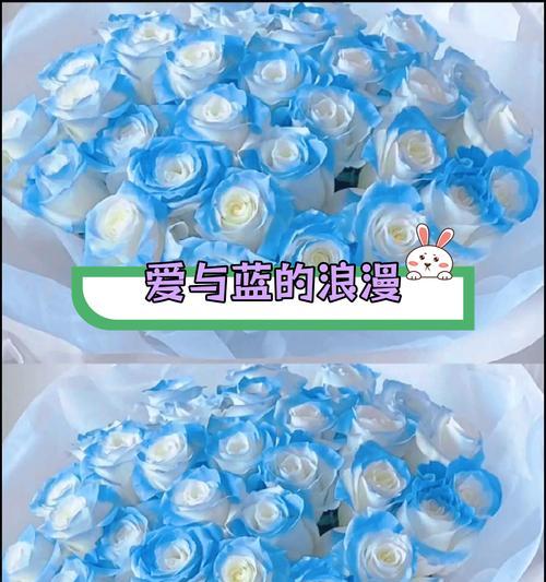 第一束蓝玫瑰代表什么意义？