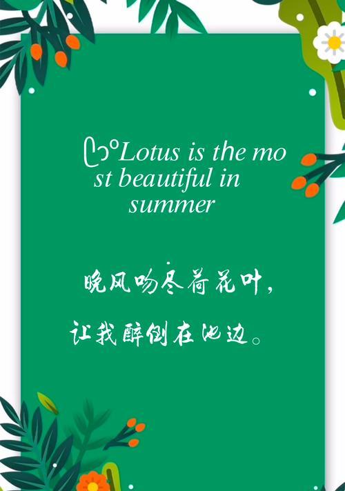 粉荷花的花语是什么？它在诗词中代表了什么？