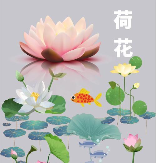粉荷花的花语是什么？它在诗词中代表了什么？