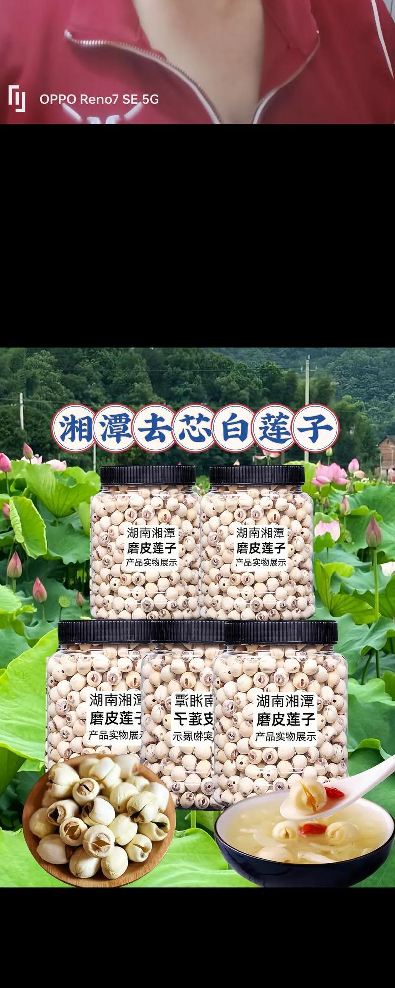 莲子百合的寓意是什么？莲子百合花语有何特别？