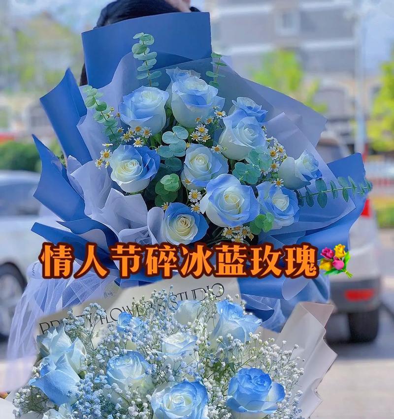 小甜菊的花语寓意是什么？有何特别之处？