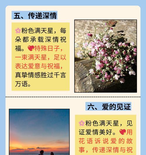 亲人满满的爱通过什么花语表达？