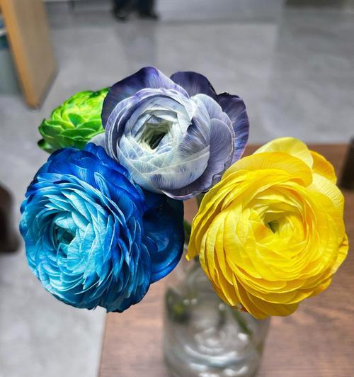 七色花颜色花语是什么？七种颜色的花各自代表什么？