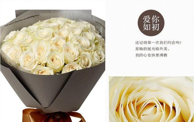 不同种类的白玫瑰花语有何不同？