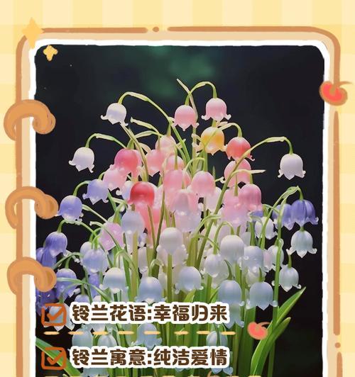 玫瑰和铃兰的花语分别是什么？它们共同的花语是什么？