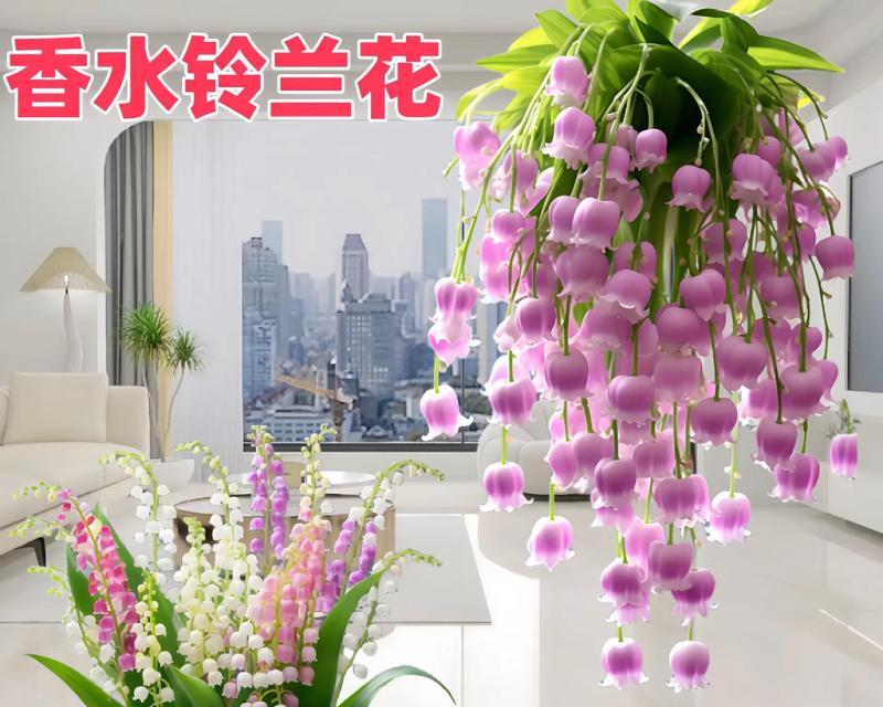 玫瑰和铃兰的花语分别是什么？它们共同的花语是什么？