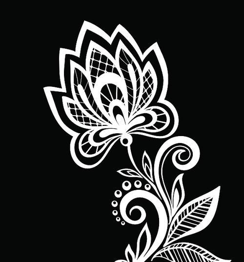 黑白花的花语和寓意有哪些？黑白花象征着什么？