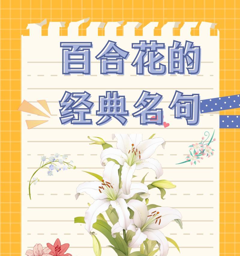 全百合花语的真正含义是什么？它传递了哪些信息？