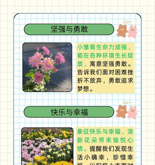女人专属的花语有哪些独特之处？