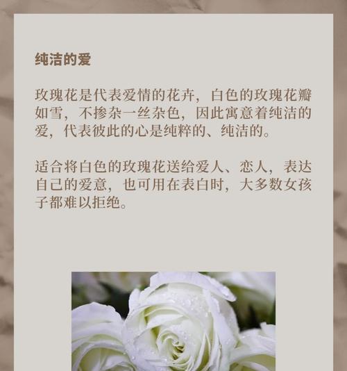 腰带白色玫瑰的花语是什么意思？腰带白色玫瑰代表了什么？