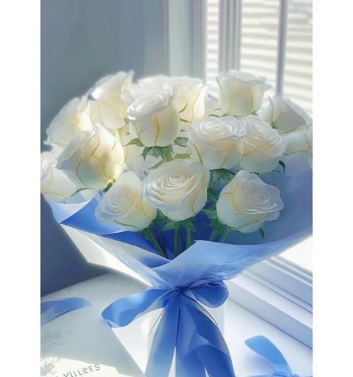 腰带白色玫瑰的花语是什么意思？腰带白色玫瑰代表了什么？
