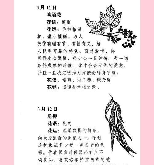 花语中琢磨不透的含义是什么？它传达了哪种情感？