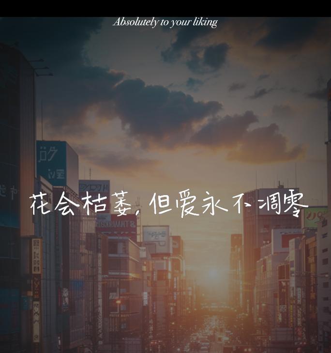 永远不会走散的花语属于哪种花？花语有何深意？