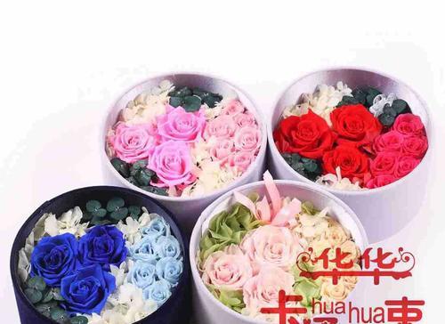 宝蓝玫瑰的花语有何特别之处？