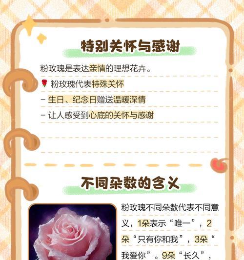 引出花语的话语是什么意思？花语背后隐藏着什么？
