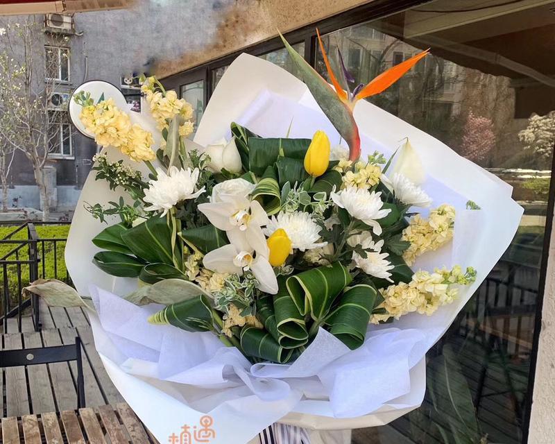 绿菊的花语和含义是什么？