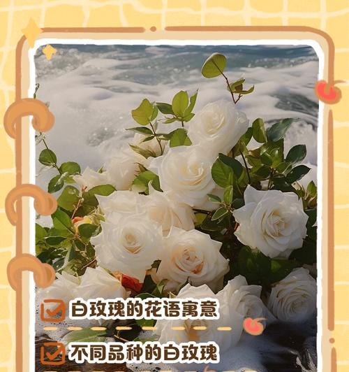 哪种花的花语最能触动人心？它代表了什么？