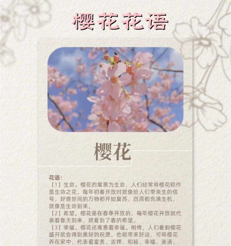 离别时无话可说的花语代表了什么？