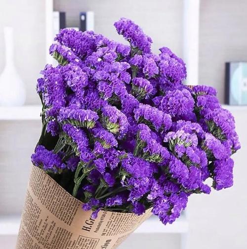 离别时无话可说的花语代表了什么？