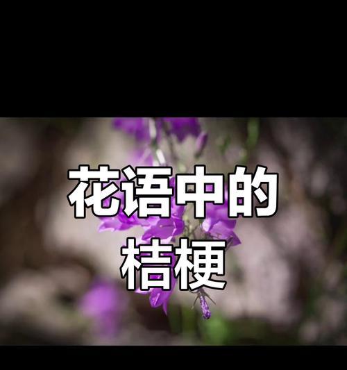 心灵的花语有何深意？如何找到自己的花语？