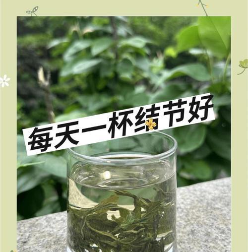 蒲公英的花期是怎样的？从早春到深秋的变化如何？