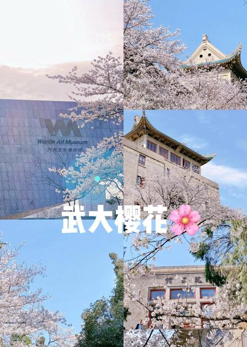 春天有哪些花？赏花指南是什么？