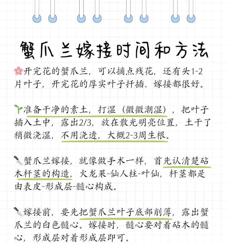 蟹爪兰土壤酸碱度大怎么办？养兰小白必看的要点是什么？