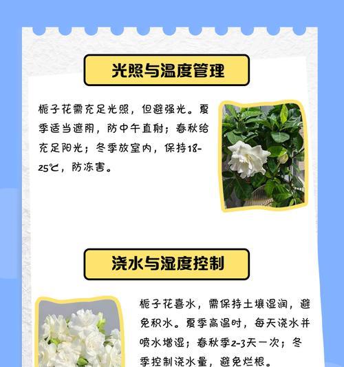 栀子花花期如何管理？养护过程中应注意哪些问题？