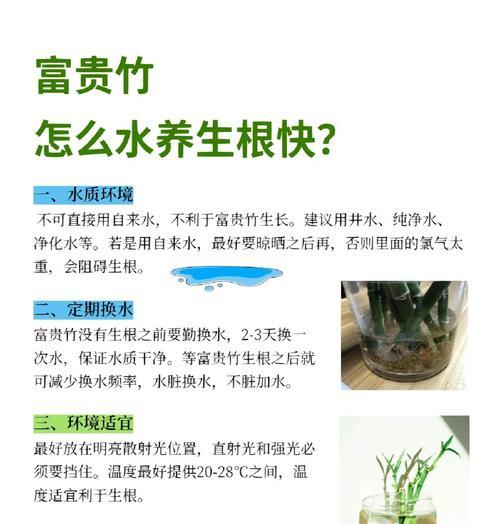 富贵竹叶子发黄怎么办？放铁钉和换水有效吗？