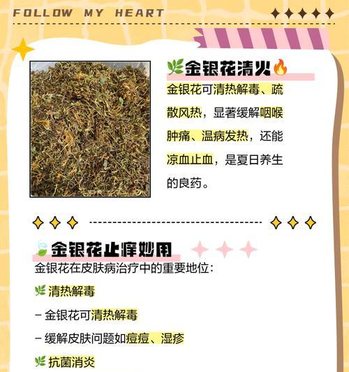 金银花叶子发黄是什么原因？如何处理？