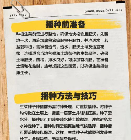 生菜如何快速催芽出苗？有哪些技巧？