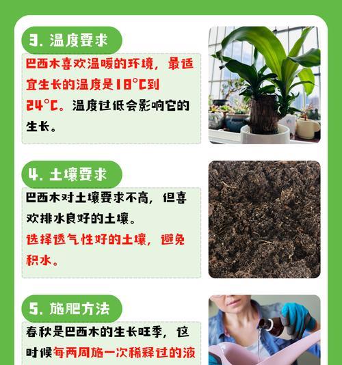 如何判断植物是否适合放在室内？