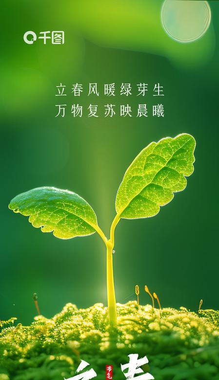 哪里可以找到绿色植物海报素材？