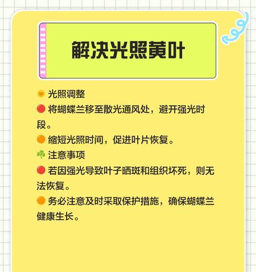 花卉叶子变黄怎么办？如何处理？