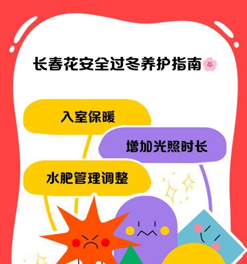 常春藤长春花的养护要点是什么？