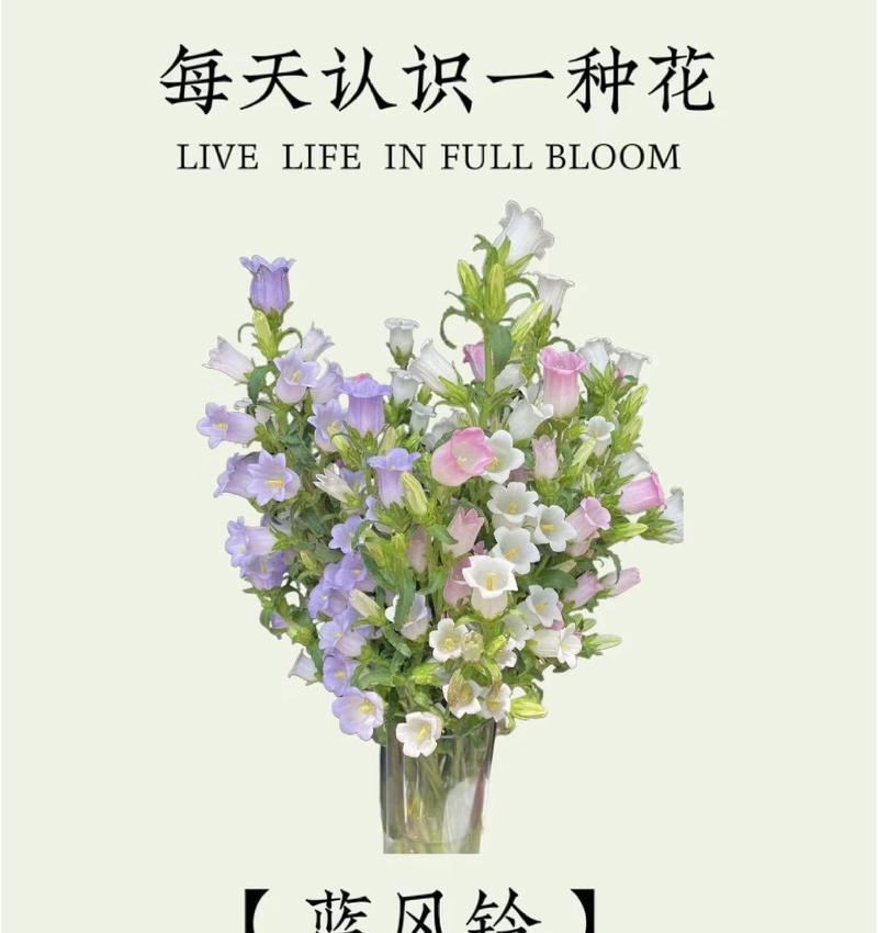 50种花语？《花语大全》中有哪些不为人知的秘密？