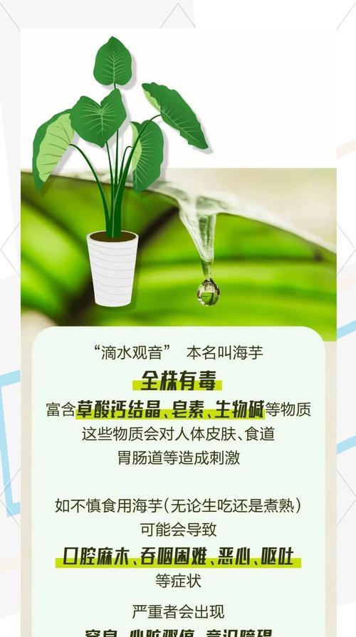 这几种盆栽植物有毒？如何防止孩子误触？