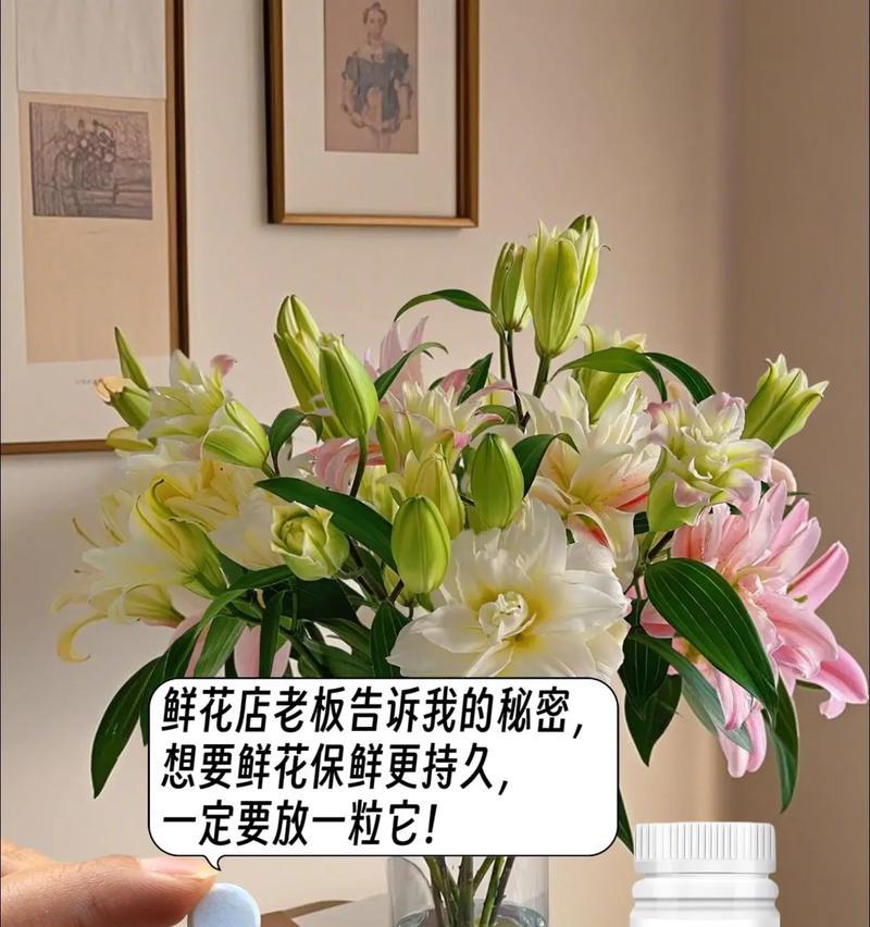 鸡爪槭花期是什么时候？如何延长花期？