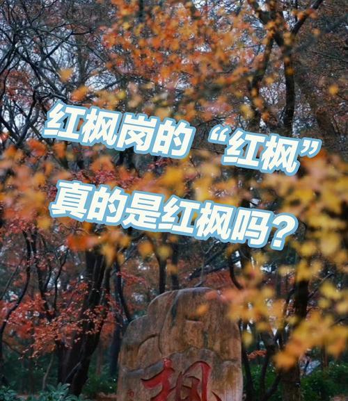 鸡爪槭花期是什么时候？如何延长花期？