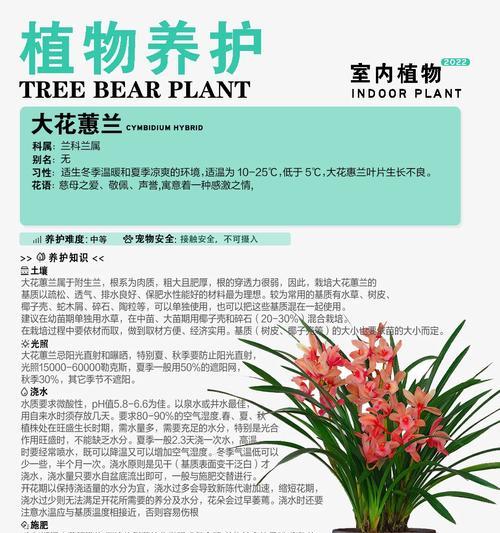 大花蕙兰如何准时开花？有哪些方法可以实现？