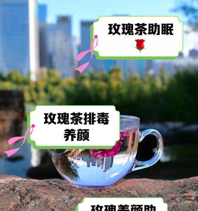 哪些玫瑰花品种适合泡水养护？