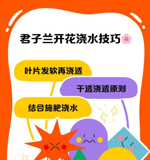 君子兰浇水时应该使用什么工具？