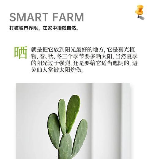 如何养活大量仙人掌？