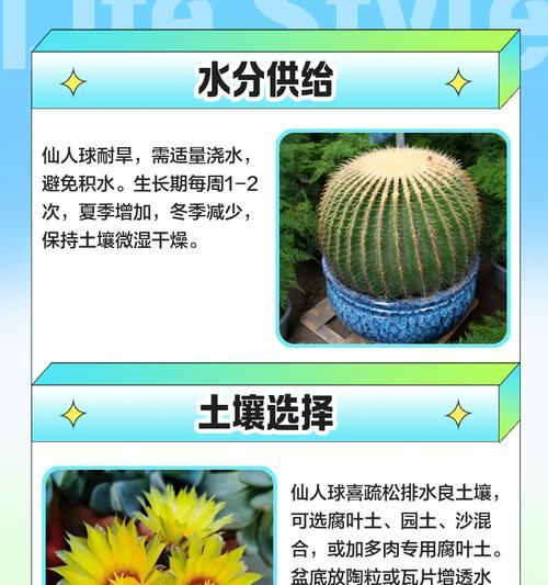 仙人球青花虾怎么养殖？养殖技巧有哪些？