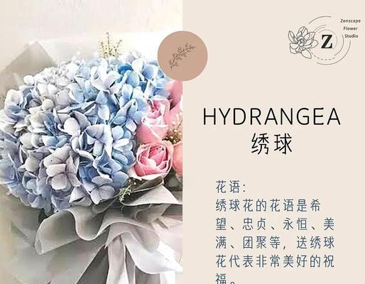 宽口径玫瑰花怎么养好看？如何使宽口径玫瑰花更加美观？
